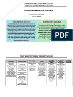 4 - Strategia de Evaluare