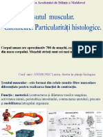 Tesutul muscular.pdf