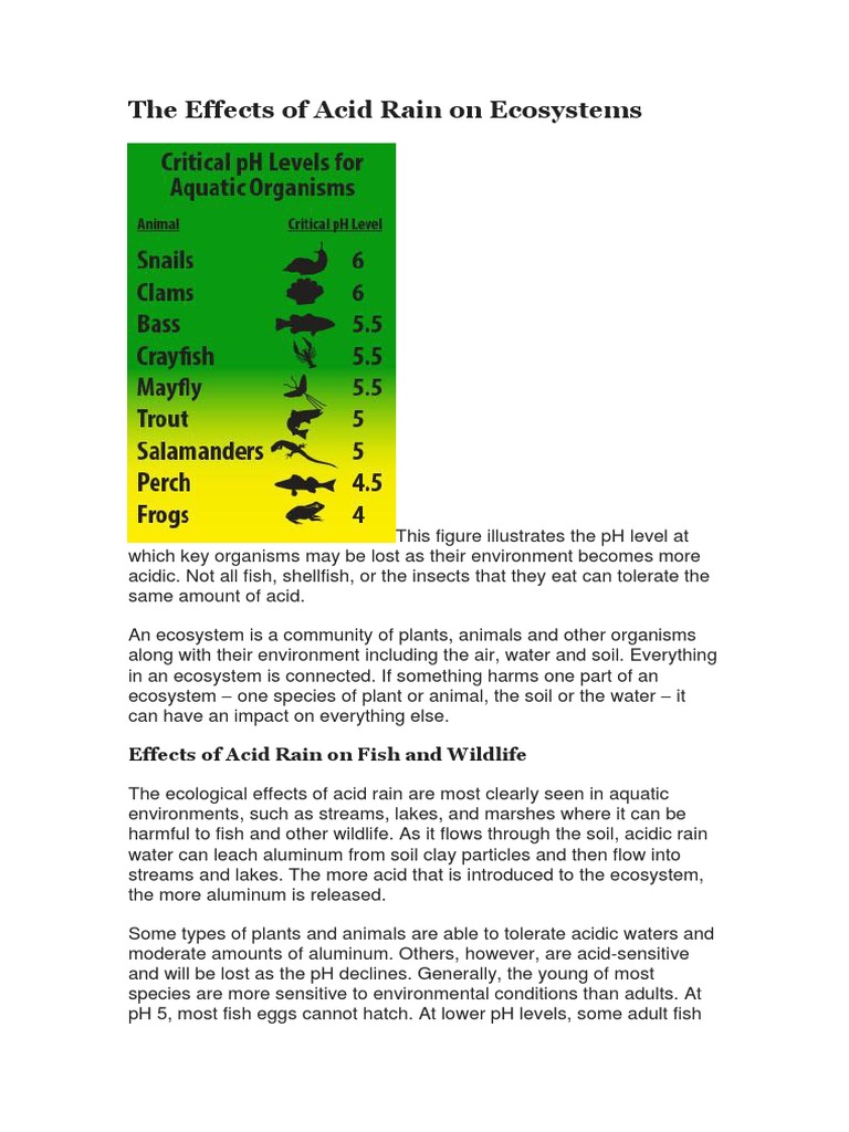 The Effects of Acid Rain On Ecosystems Biology Diagrams