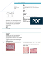 Rangkuman Kulit Gatal