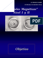 Partículas Magnéticas 2010.pptx