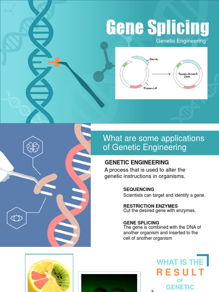 Gene Splicing in Genetic Engineering | PDF | Recombinant Dna | Genetic ...