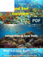 CORAL REEFS.pptx