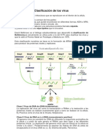 Clasificación de Los Virus