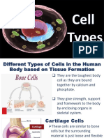 Cell Types & Modifications