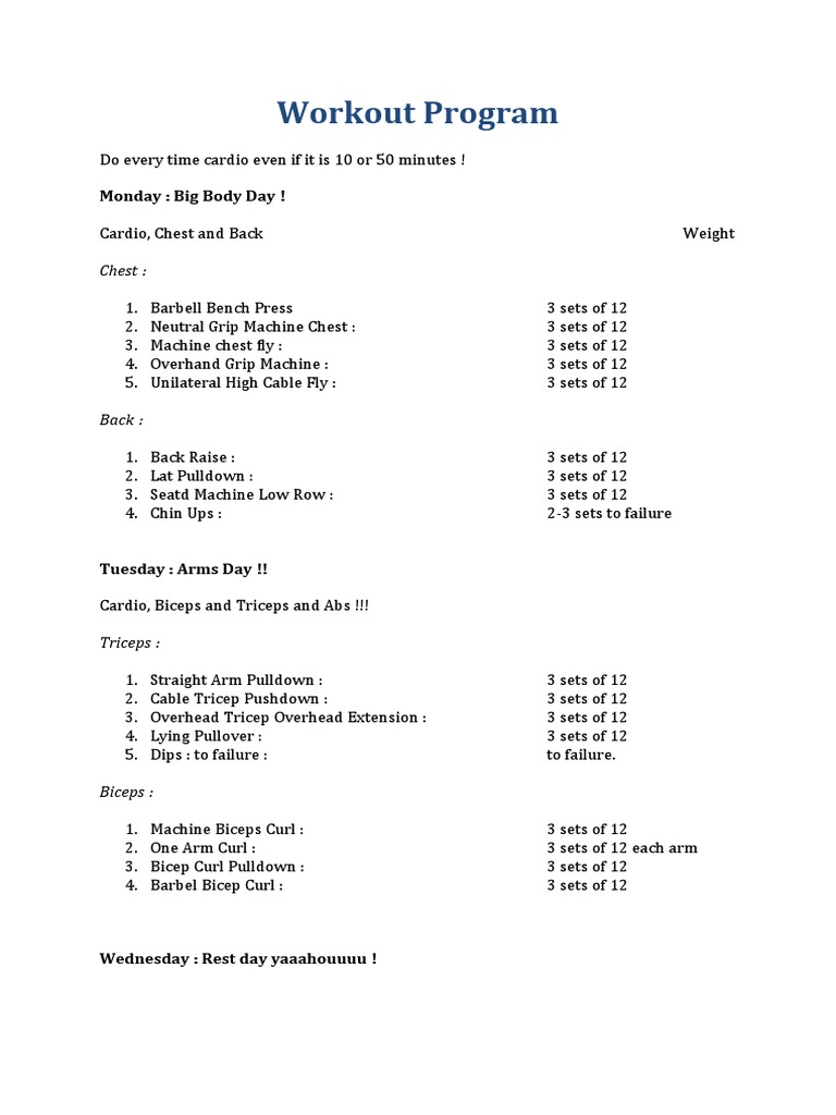 Workout Program | PDF | Wellness