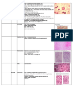 Diagnosis of viral infections