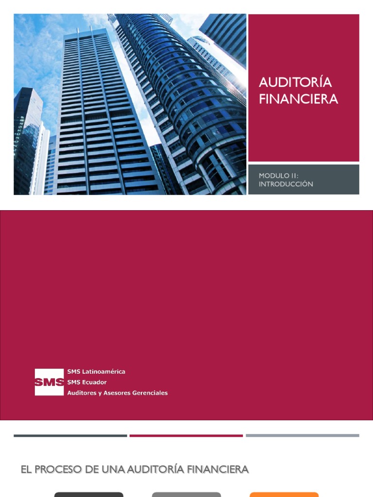 Proceso de Auditoría Financiera: Guía Completa | PDF | Auditoría ...