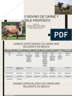 GANADO-BOVINO-DE-CARNE-Y-DOBLE-PROPÓSITO.pptx