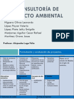 Consultoría de impacto ambiental.pptx