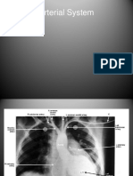 Arterial System Book