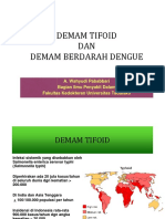 Demam Tifoid Dan DBD Simpo