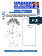 Sistema Digestivo para Niños de 4 Años PDF