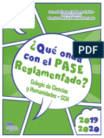 Pase_Reglamentado_2019.pdf