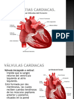 Valvulas Cardiacas