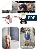 PERROS.docx