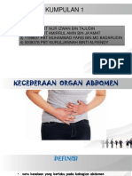 Kecederaan Abdomen