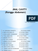 Abdominal Cavity Revisi