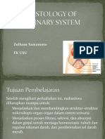 H 4.2 Histology Urinary System