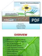 Photosynthesisppt 150123102952 Conversion Gate01