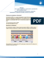 dinitrofenol.pdf
