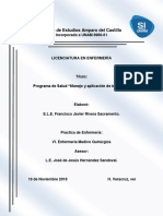 Programa de Salud.docx