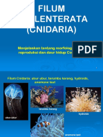 02-Coelenterata.ppt