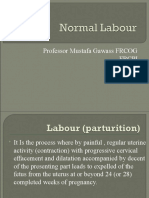 Mechanisms of Normal Vertex Labour