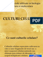 38822125-Culturi-celulare.ppt
