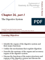 24-01 - The Digestive System