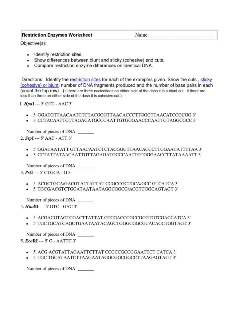 Microsoft Word - Restriction Enzymes Worksheet | PDF | Restriction Enzyme |  Biotechnology