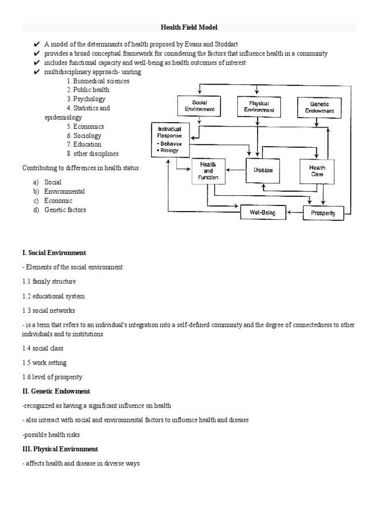 Health Field Model Overview | PDF | Public Health | Behavioural Sciences