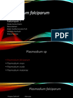 Kel 1 Plasmodium Falciparum