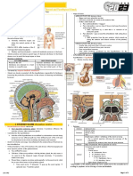 GrossHSB B - 1.2 Endocrine Glands I (Pituitary, Pineal, Thyroid and Parathyroid Glands) (Capulong).pdf