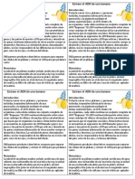 Banana DNA Activity Handout Espanol