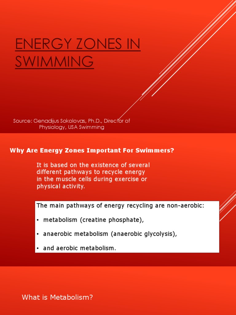 EnergyZonesinSwimming.pptx Metabolic Pathway Cellular Respiration