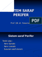 2 Sistem Saraf Perifer