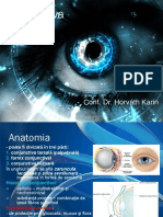 3 Conjunctiva