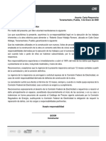 Carta Responsiva PDF