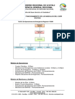 Protocolo de Funciones Coer