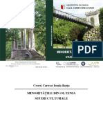 1600-Minorități din Oltenia. Studii culturale.pdf