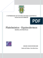 Manual Platelmintos - Equinodermos