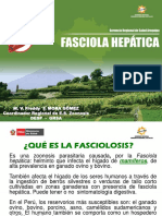 N T Fasciola