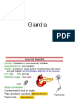 Giardia