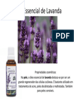 Lavanda 1