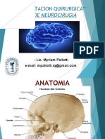 Anatomia