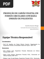 palestra-silvicultura-carvao-vegetal 2.pptx