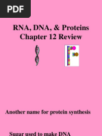 41+ Campbell Biology Chapter 10: Photosynthesis Pdf