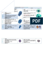 Entamoeba Histolytica.2 PDF