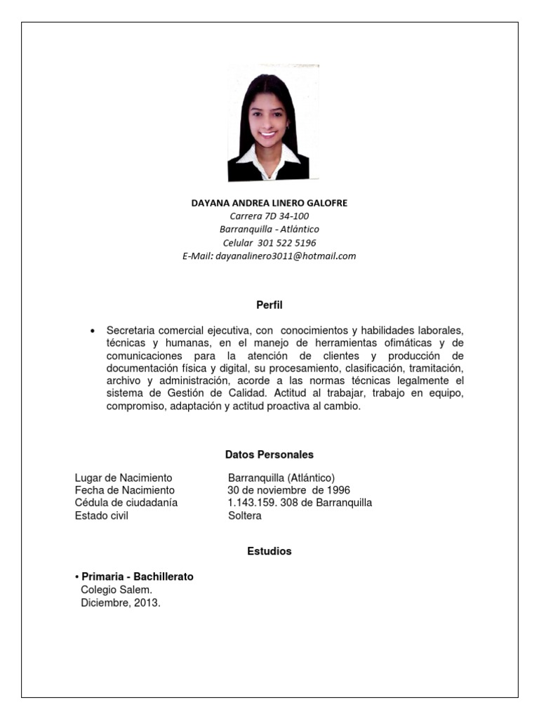 Perfil Profesional de Dayana Andrea Linero | PDF | Microsoft Office ...